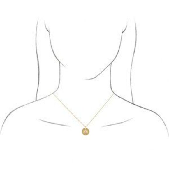 14K Rose Sagittarius Zodiac Disc 16-18" Necklace - Picture 4 of 4